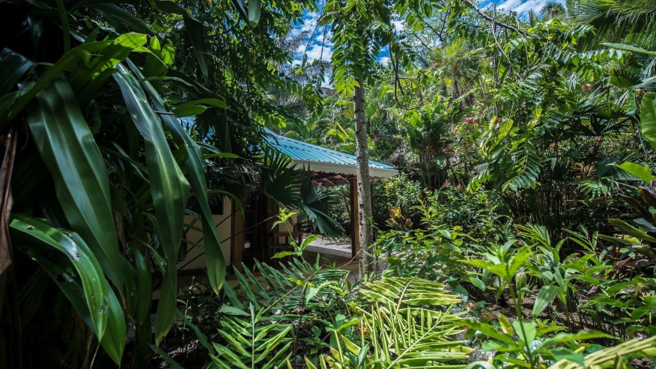 Hotel El Pequeno Gecko Verde Sámara Εξωτερικό φωτογραφία