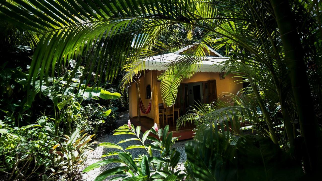 Hotel El Pequeno Gecko Verde Sámara Εξωτερικό φωτογραφία