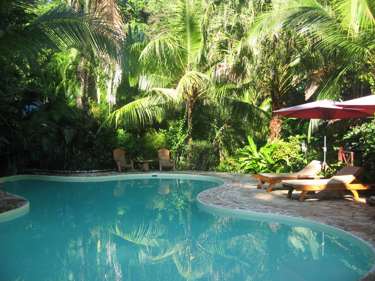 Hotel El Pequeno Gecko Verde Sámara Εξωτερικό φωτογραφία