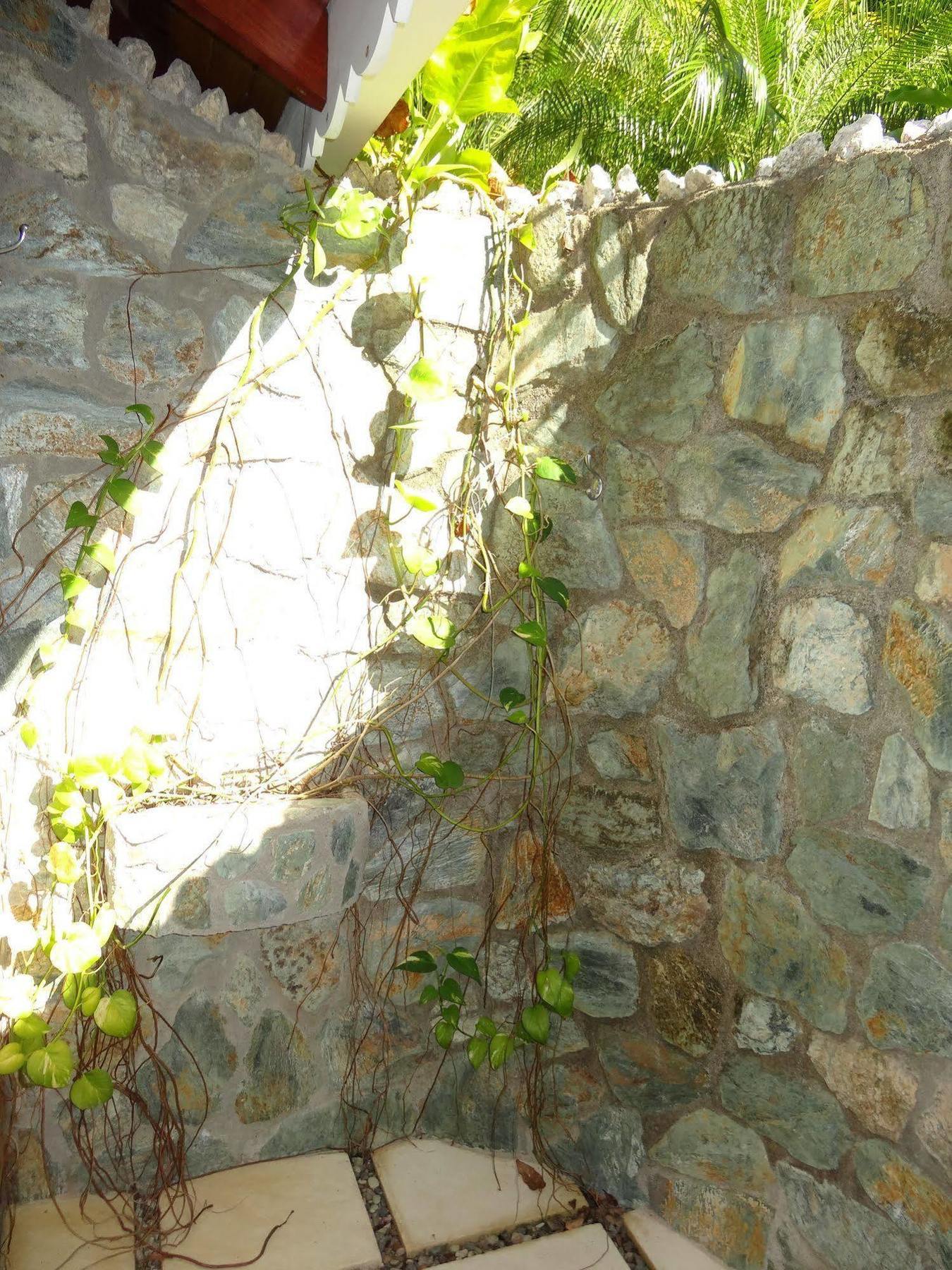 Hotel El Pequeno Gecko Verde Sámara Εξωτερικό φωτογραφία