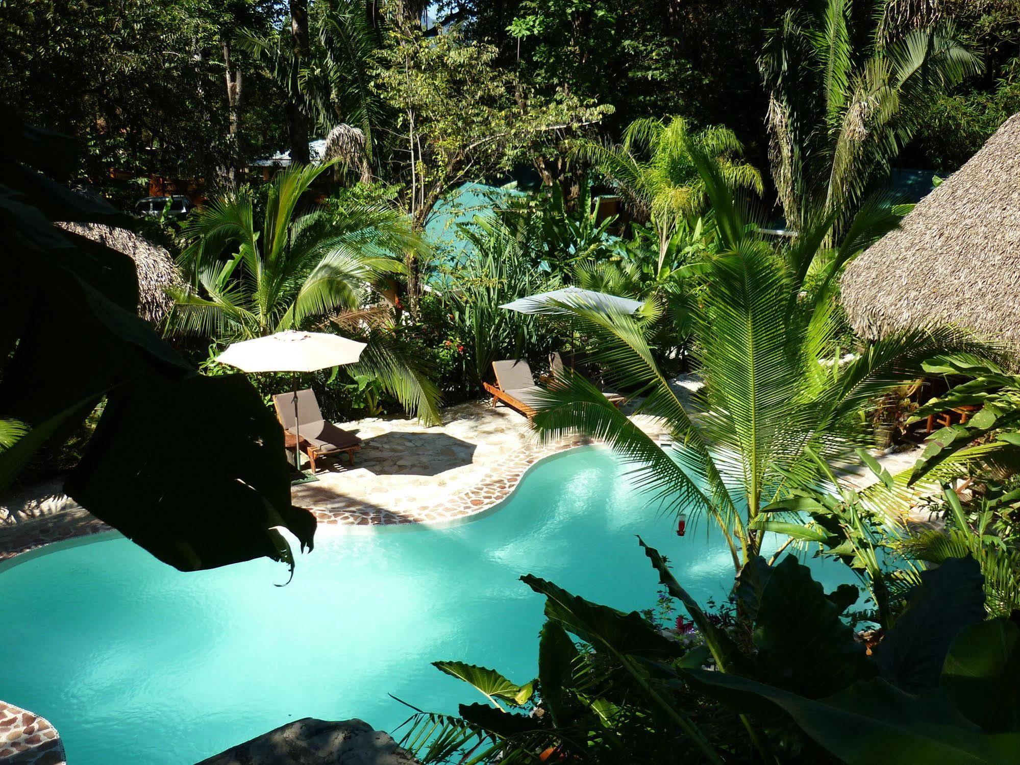 Hotel El Pequeno Gecko Verde Sámara Εξωτερικό φωτογραφία