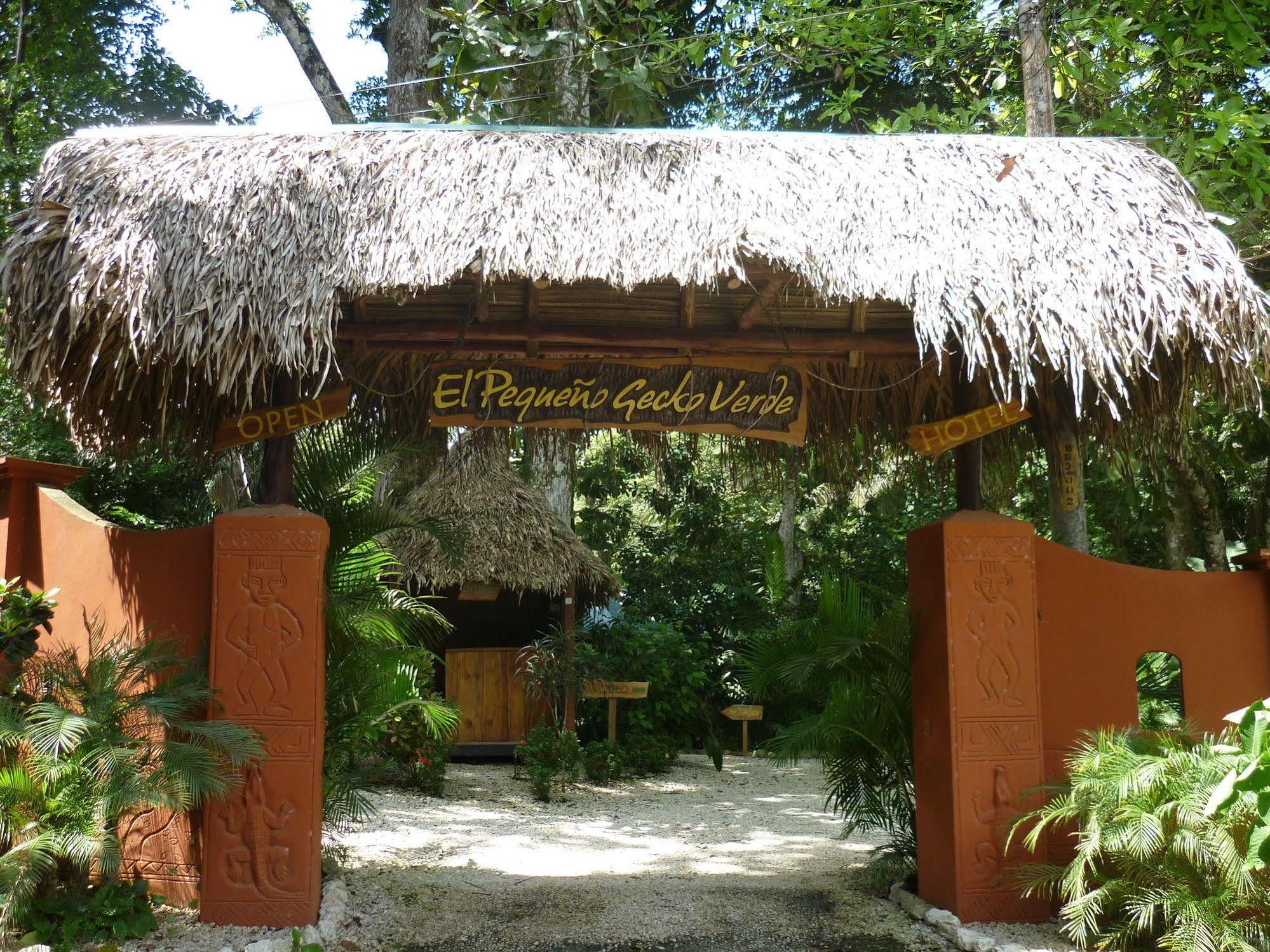 Hotel El Pequeno Gecko Verde Sámara Εξωτερικό φωτογραφία