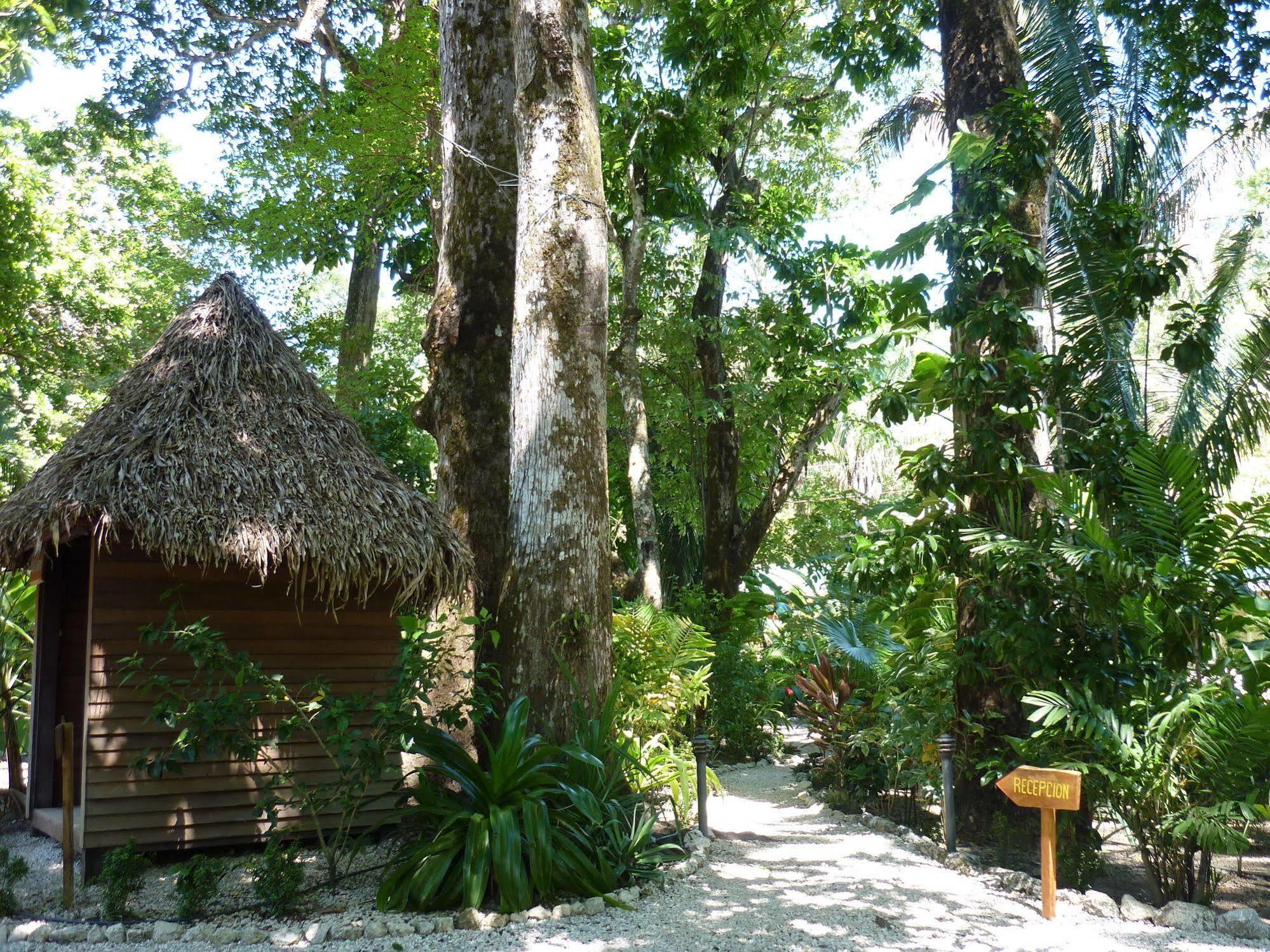 Hotel El Pequeno Gecko Verde Sámara Εξωτερικό φωτογραφία