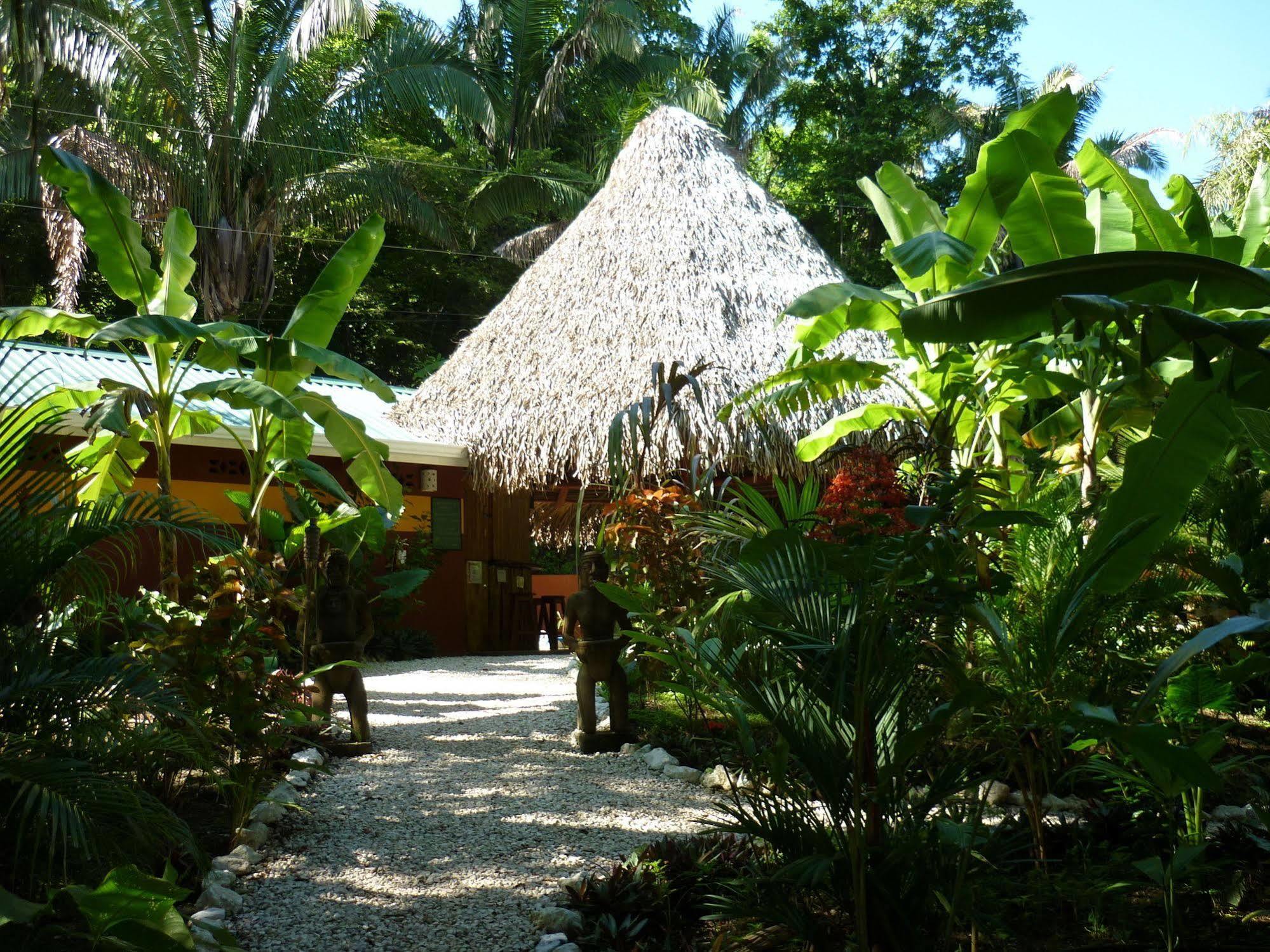 Hotel El Pequeno Gecko Verde Sámara Εξωτερικό φωτογραφία
