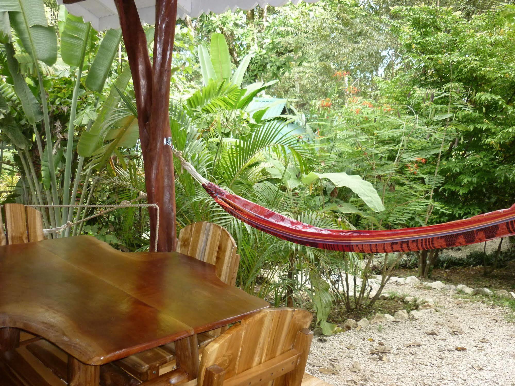 Hotel El Pequeno Gecko Verde Sámara Εξωτερικό φωτογραφία