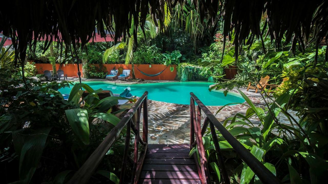 Hotel El Pequeno Gecko Verde Sámara Εξωτερικό φωτογραφία