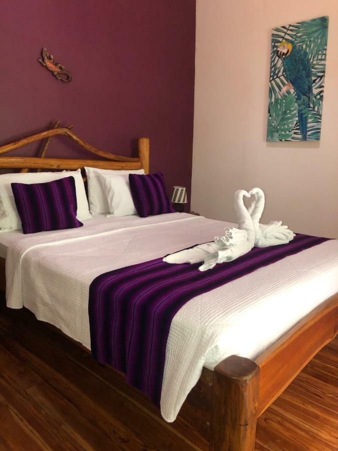 Hotel El Pequeno Gecko Verde Sámara Εξωτερικό φωτογραφία