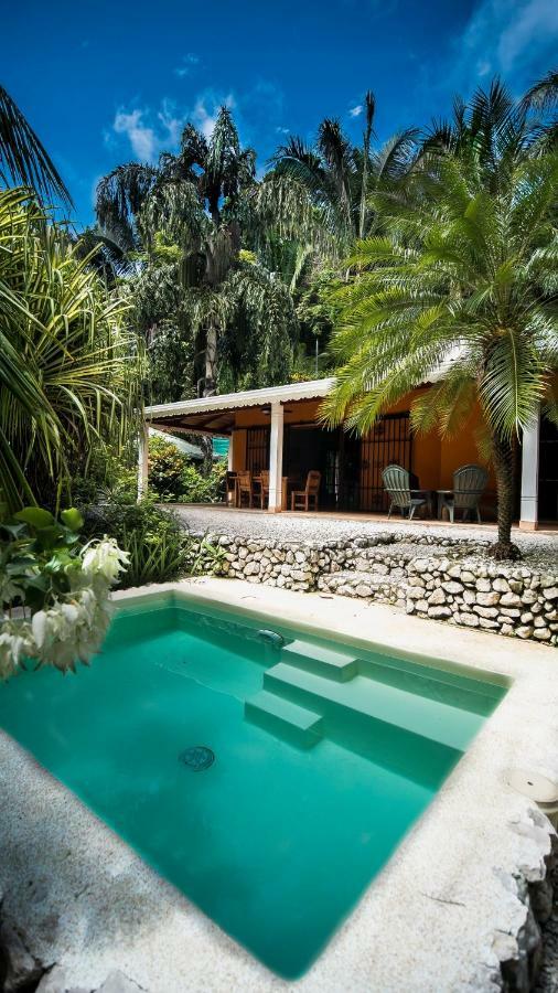 Hotel El Pequeno Gecko Verde Sámara Εξωτερικό φωτογραφία